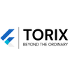Torix logo with tagline 'Beyond the Ordinary' on a white background